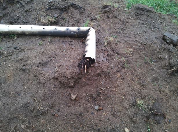 pipe plugged wth roots septic repair